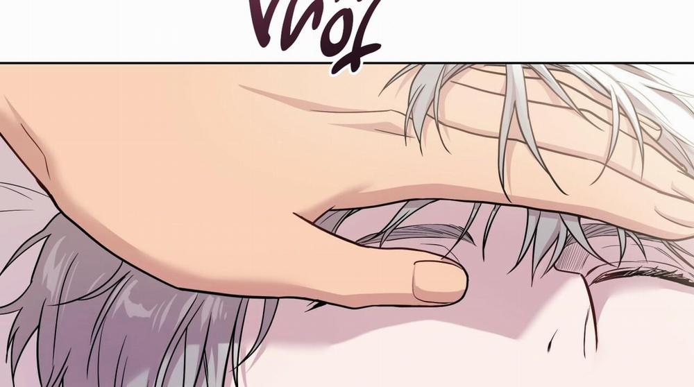 Passion 54 trang 222