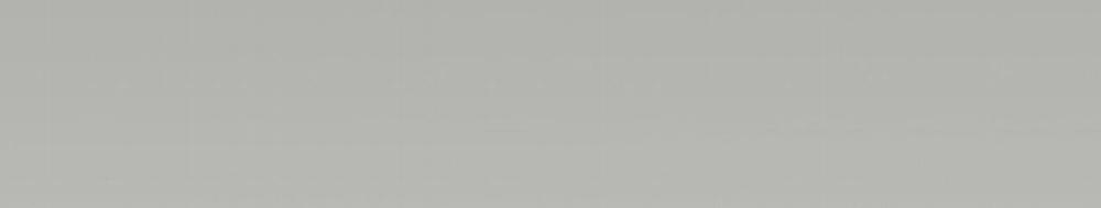 Passion 60 trang 250