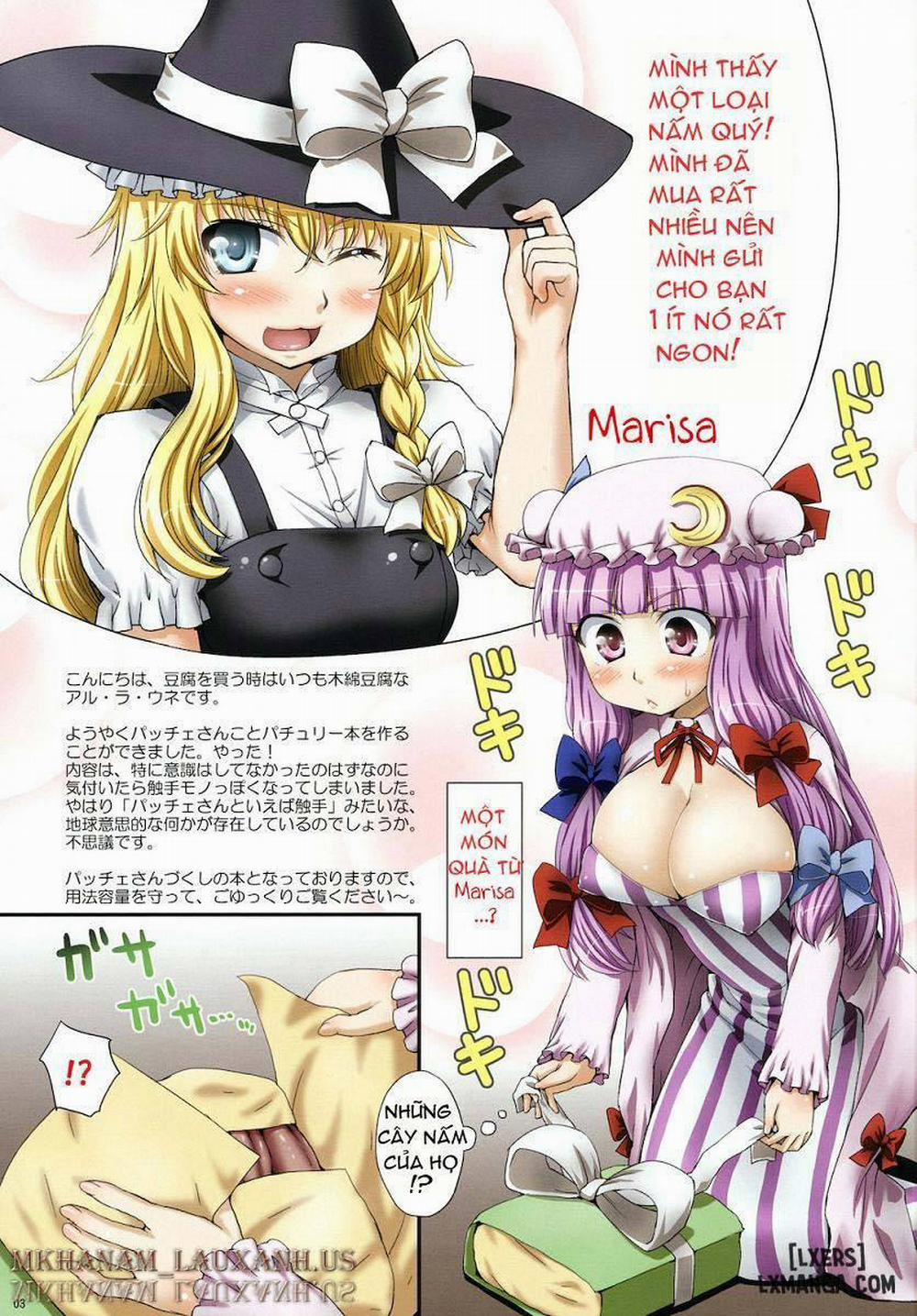 Patchouli And Marisa's Mushrooms Chương Oneshot Trang 3