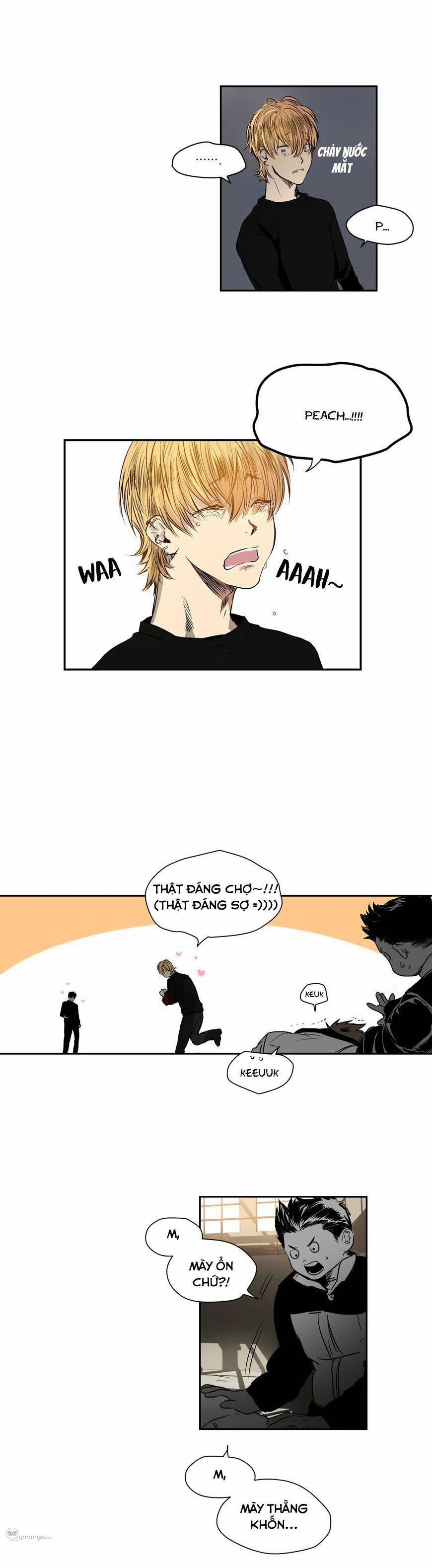 Peach Love (Đại Ca Học Đường Và Quân Đoàn Love) 11.2 trang 2