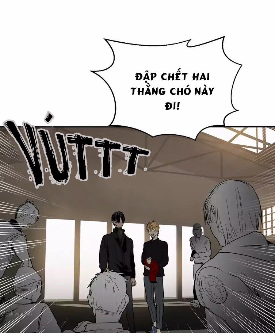 Peach Love (Đại Ca Học Đường Và Quân Đoàn Love) 12 trang 3