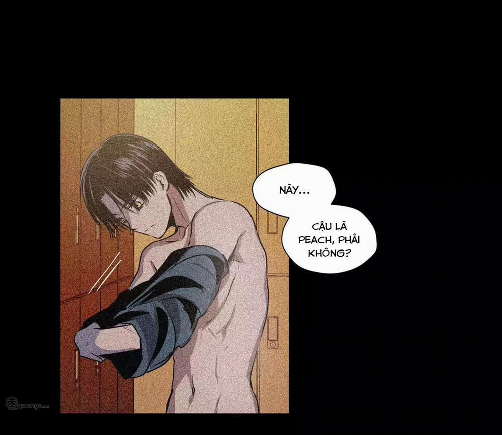 Peach Love (Đại Ca Học Đường Và Quân Đoàn Love) 16 trang 76