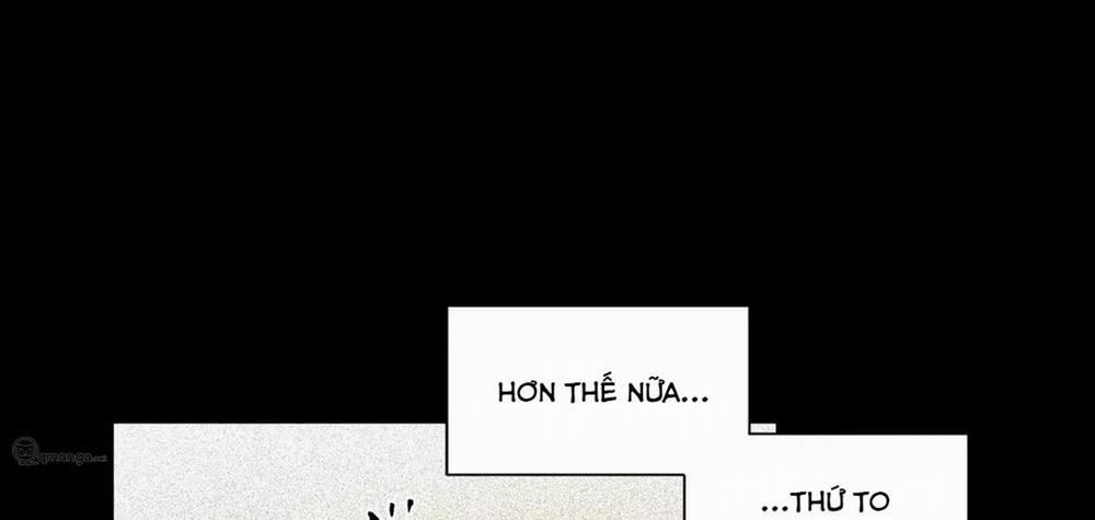 Peach Love (Đại Ca Học Đường Và Quân Đoàn Love) 17 trang 3