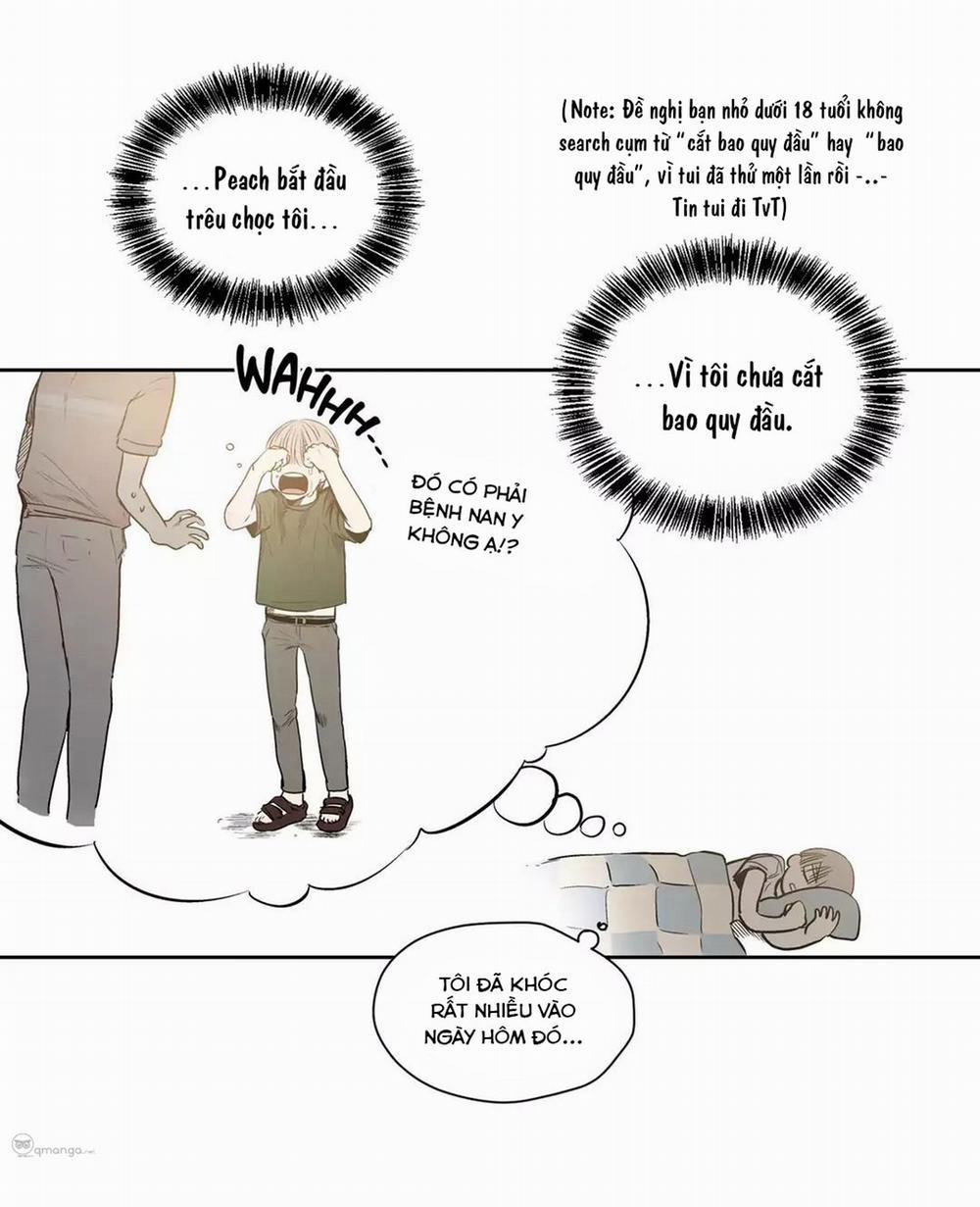 Peach Love (Đại Ca Học Đường Và Quân Đoàn Love) 17 trang 35