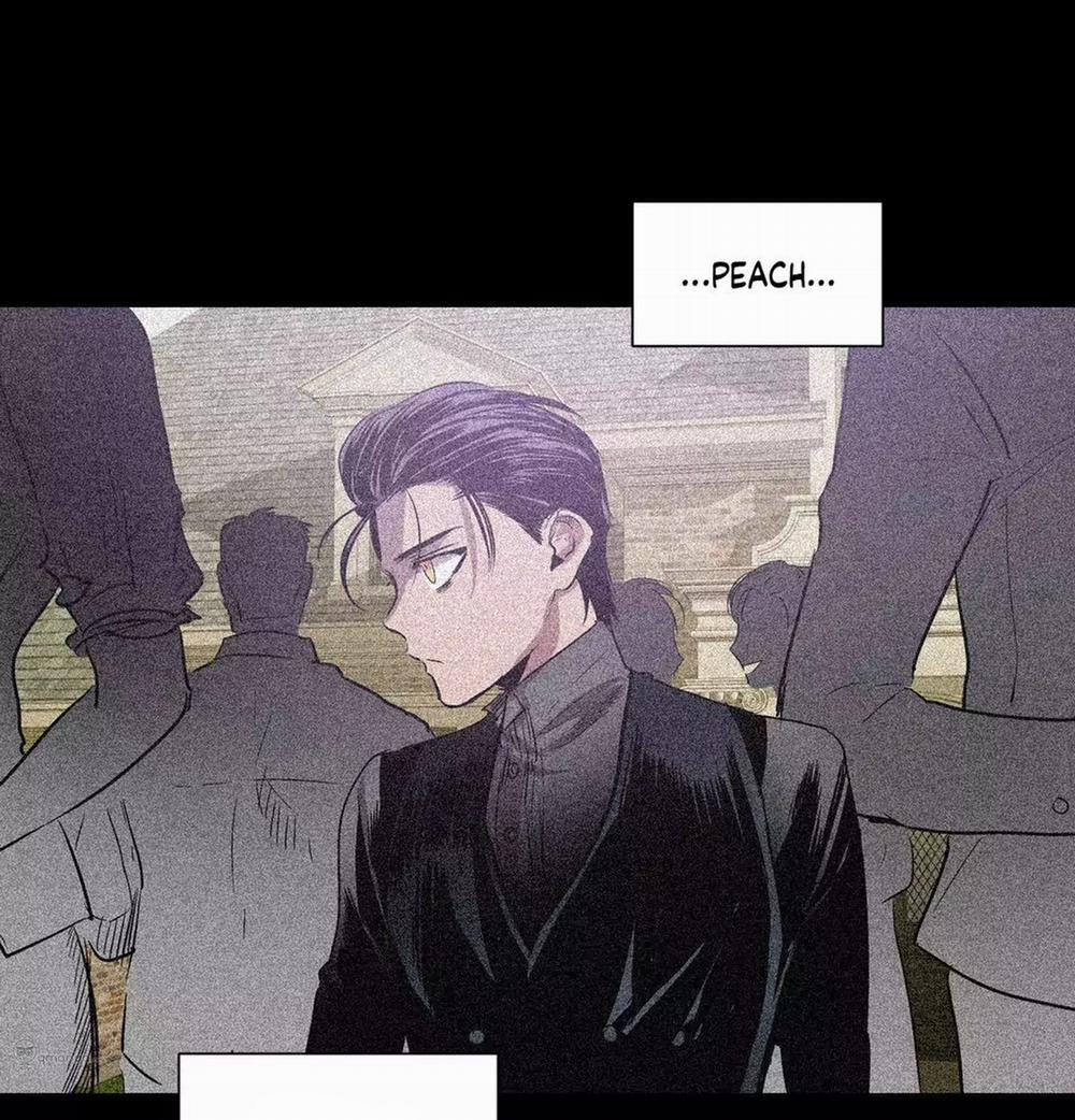 Peach Love (Đại Ca Học Đường Và Quân Đoàn Love) 17 trang 8