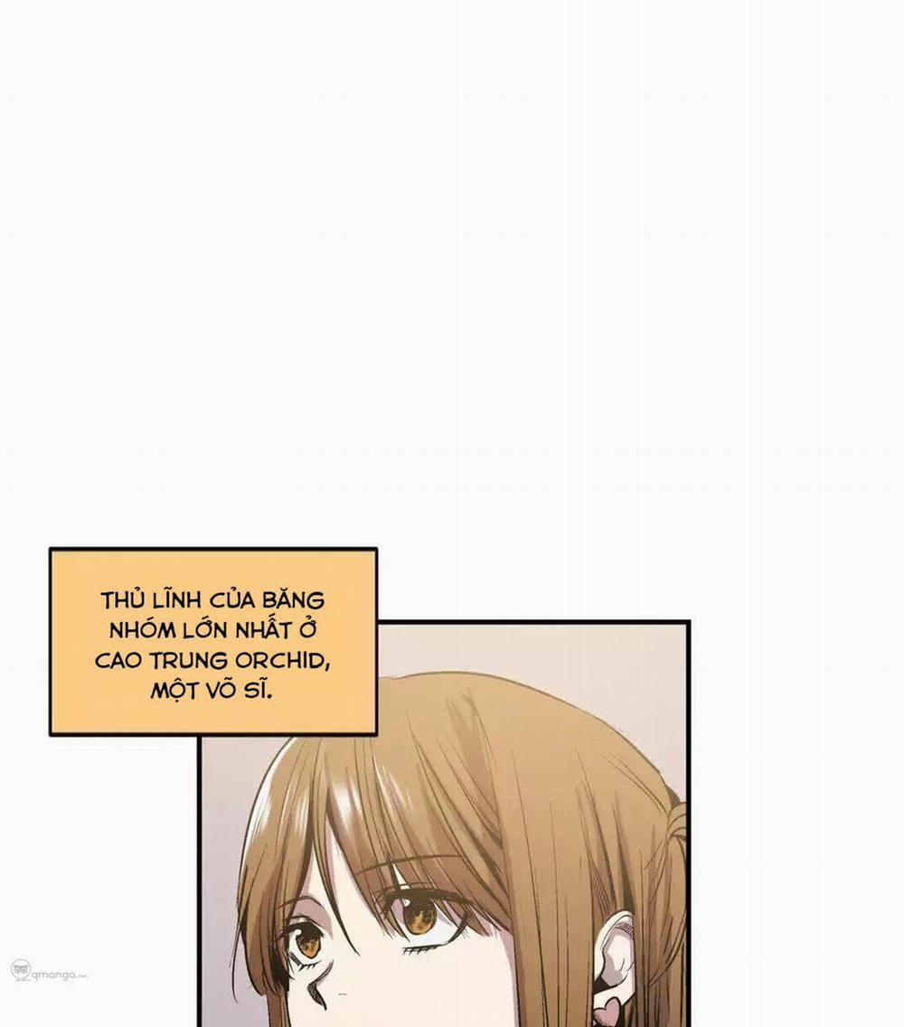 Peach Love (Đại Ca Học Đường Và Quân Đoàn Love) 20 trang 9