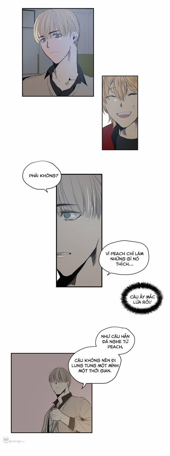 Peach Love (Đại Ca Học Đường Và Quân Đoàn Love) 7 trang 17