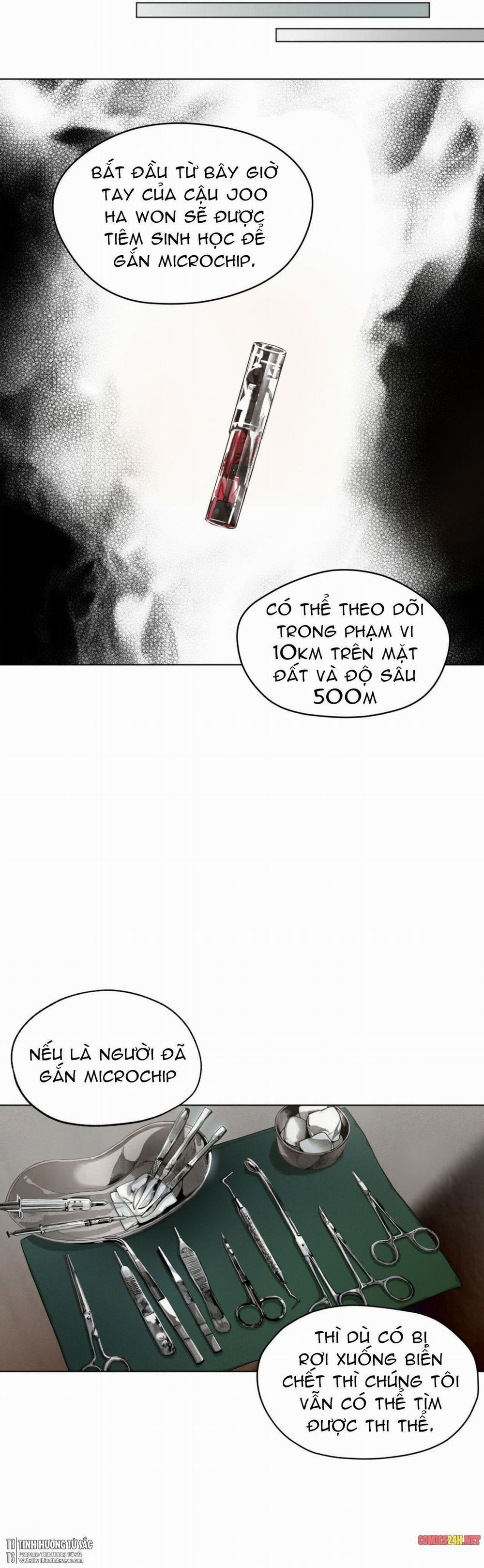 Phạm Luật 20 trang 28