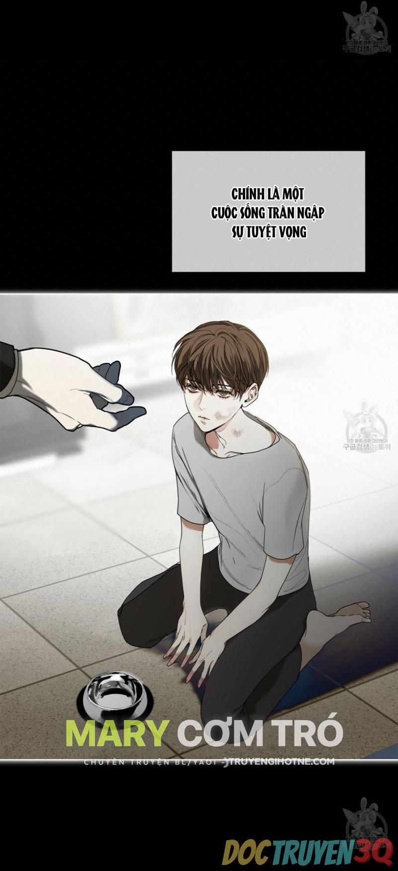 Phạm Luật 24.2 trang 13