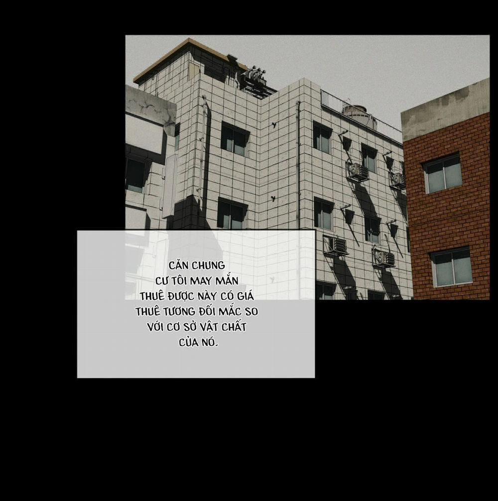 Phạm Luật 24 trang 28