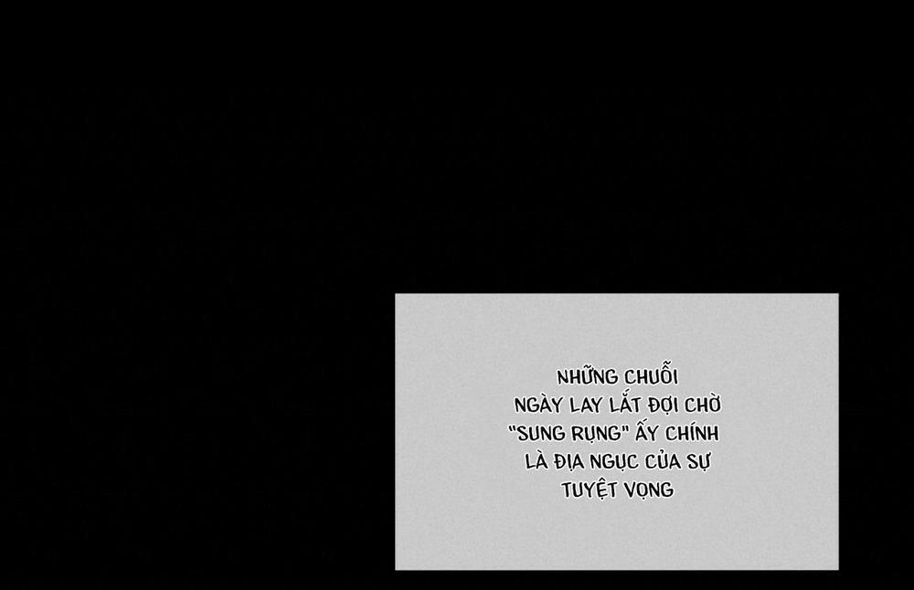 Phạm Luật 24 trang 65