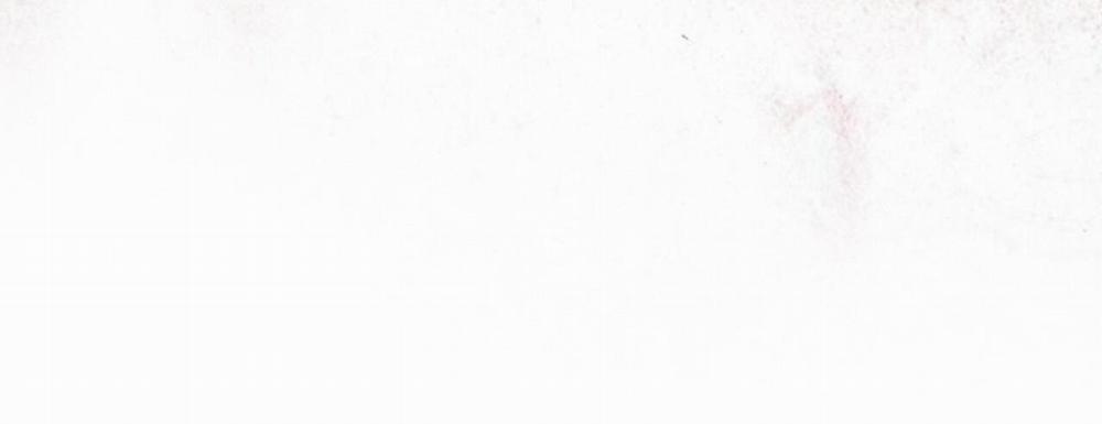 Phạm Luật 53 trang 45