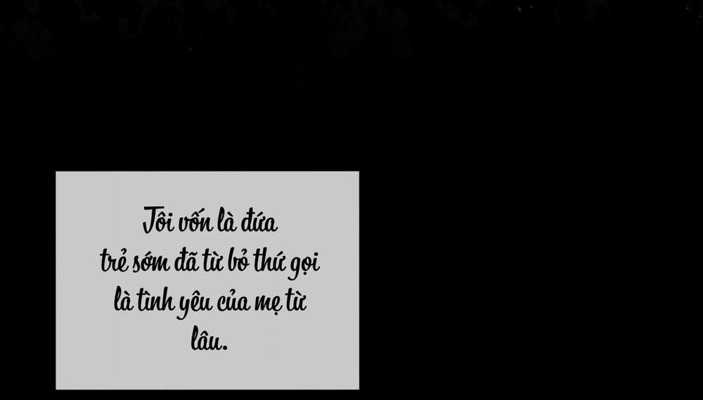 Phạm Luật 55 trang 13