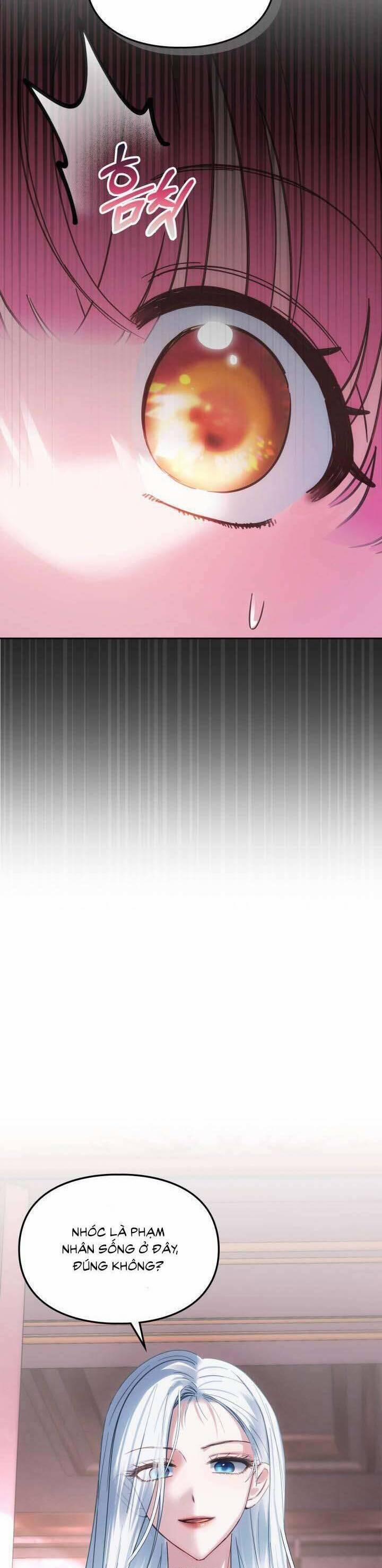 Phạm Nhân Bé Con Của Dinh Thự Mùa Đông 27 trang 47