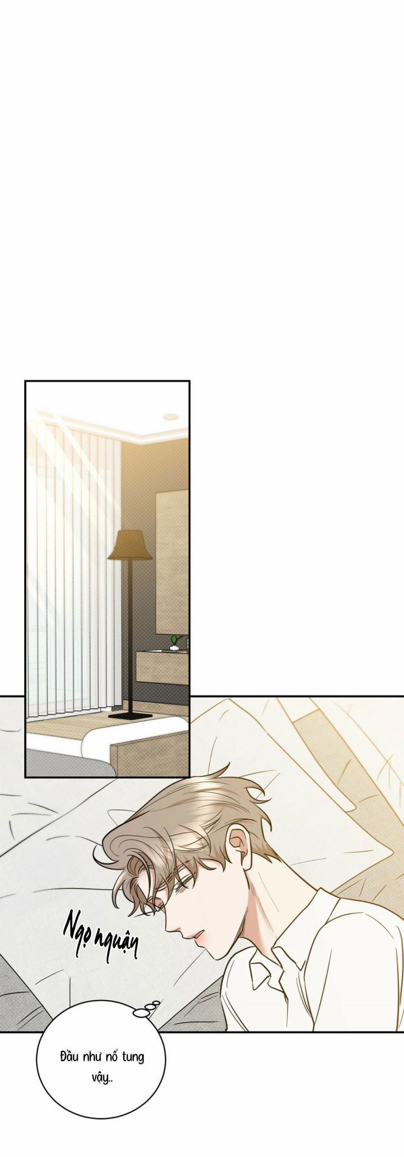 Phản Công 38 trang 10