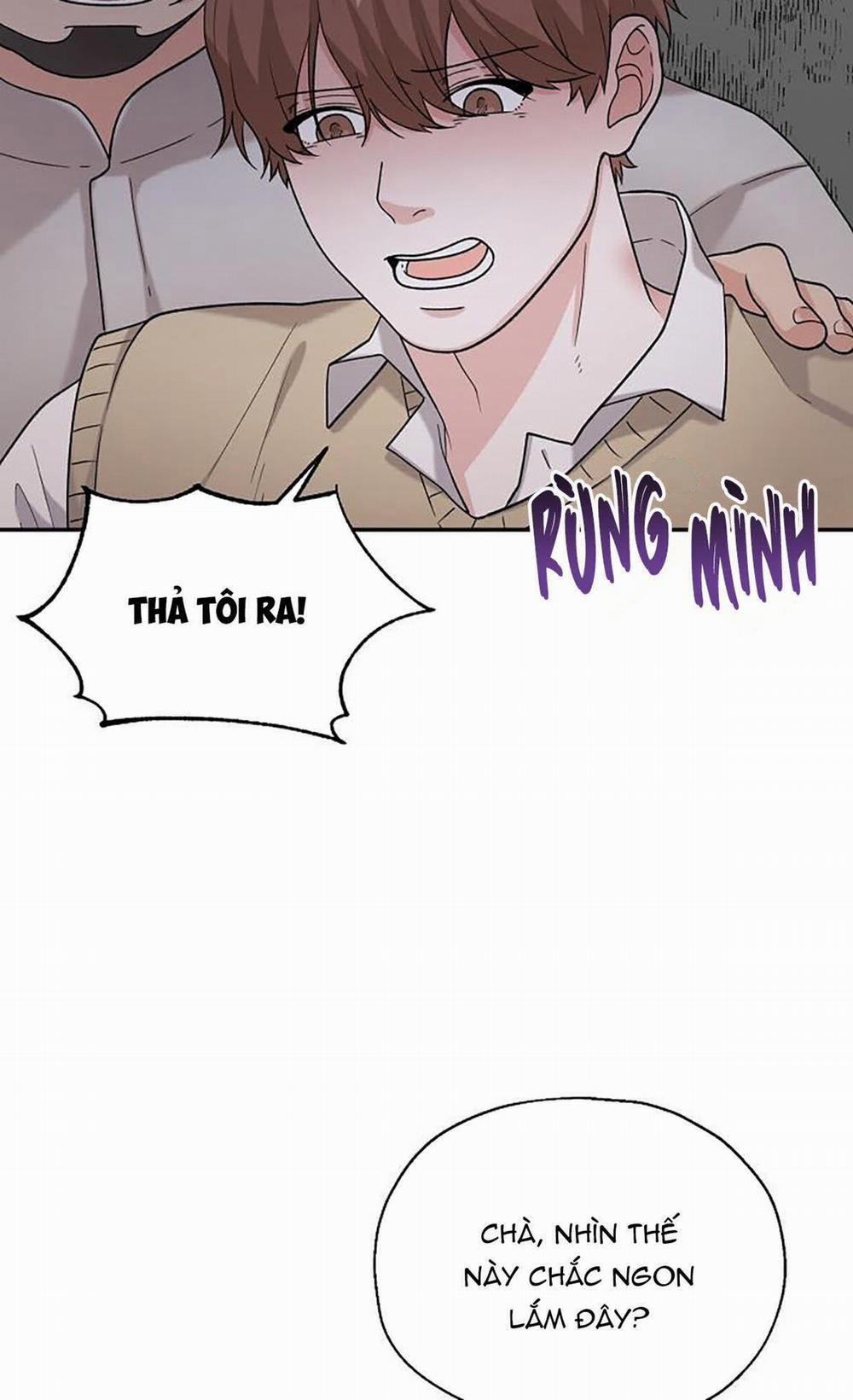 Phân Tán 12 trang 19