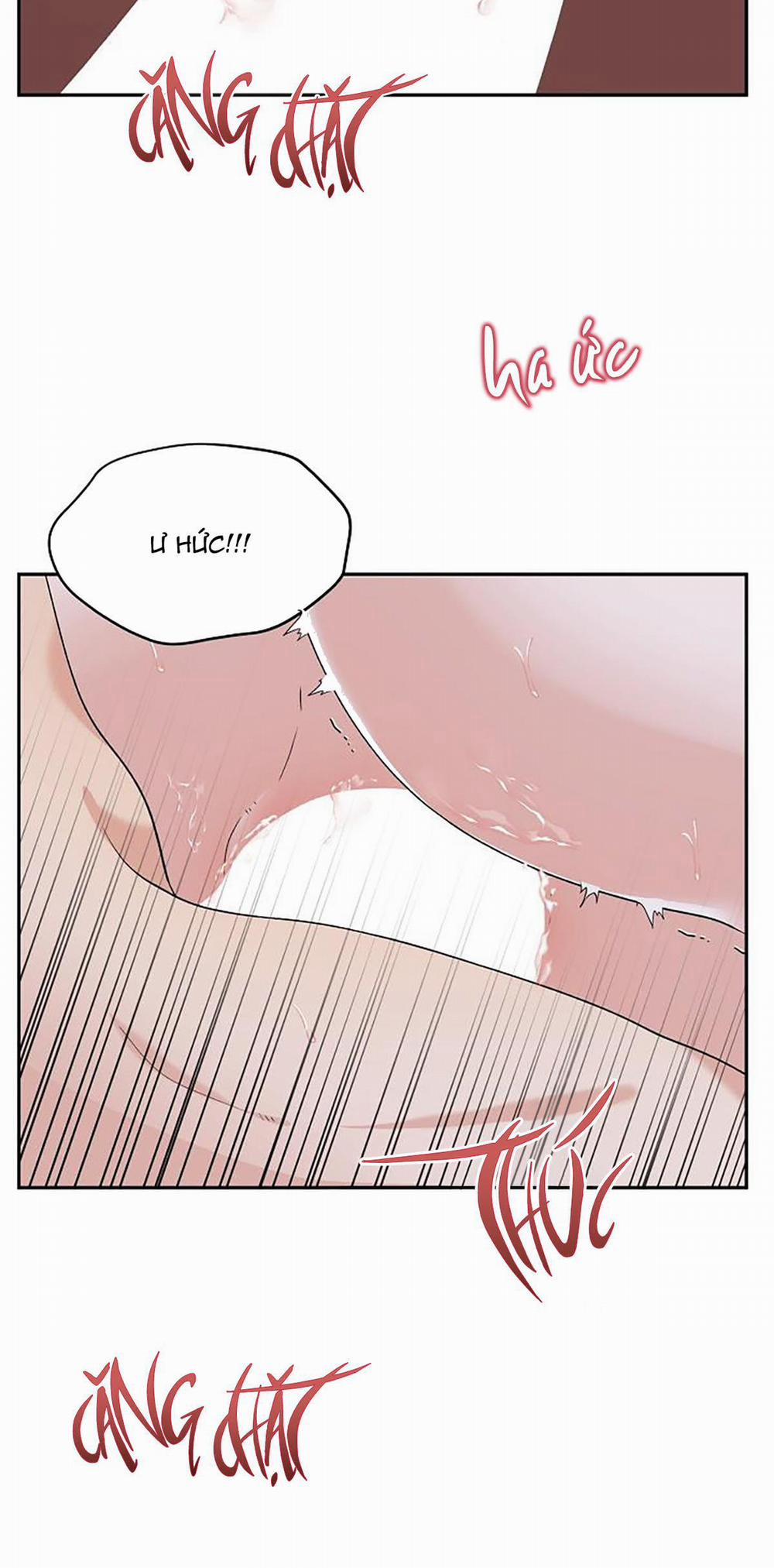 Phân Tán 15 trang 58