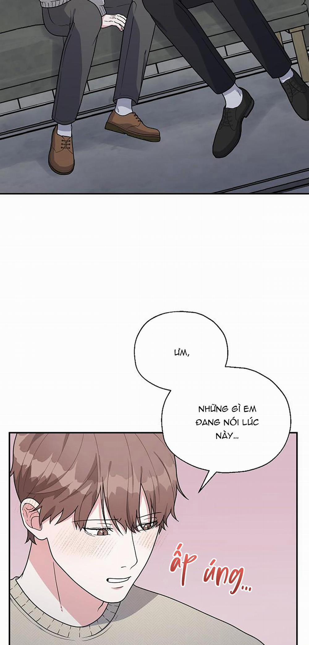 Phân Tán 8 trang 31