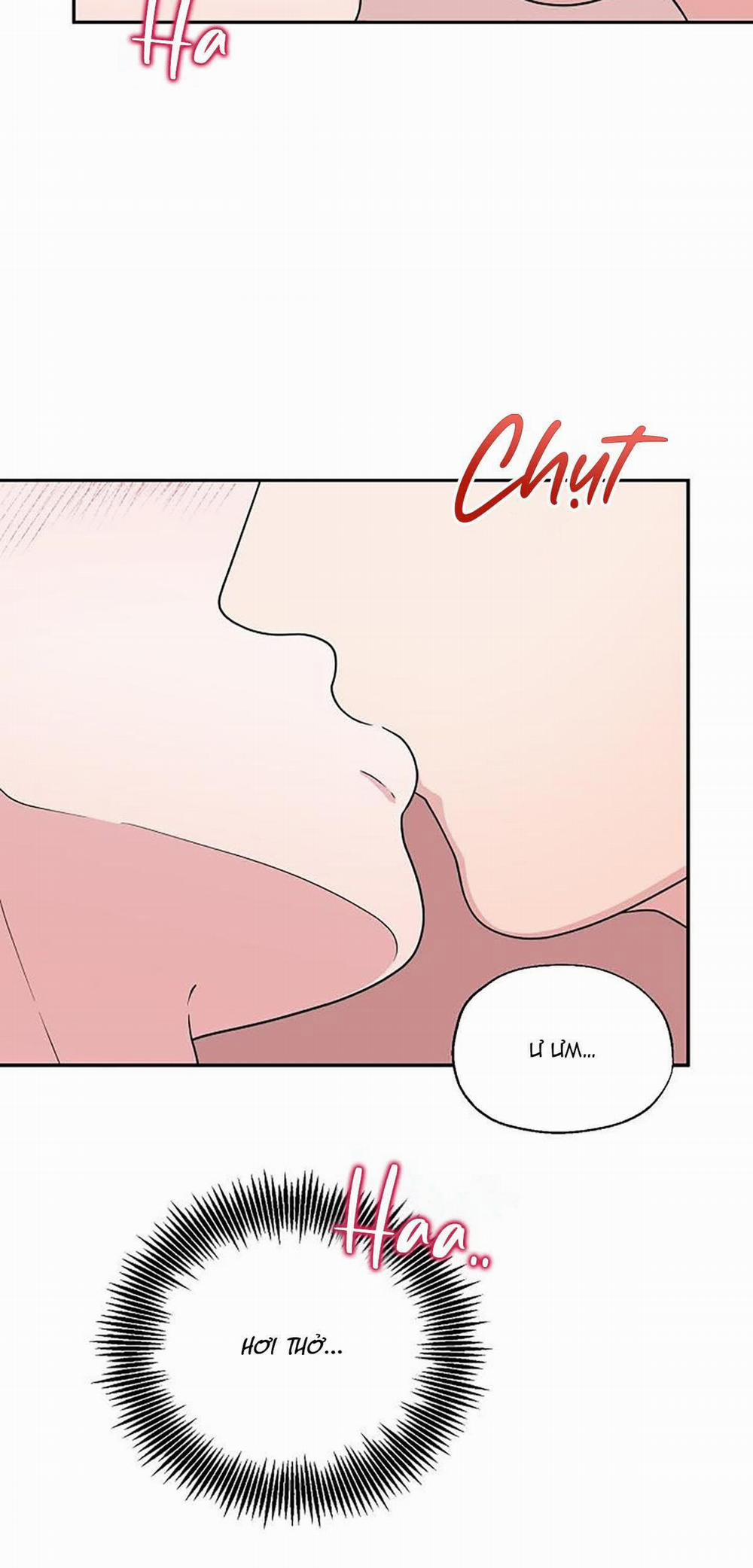 Phân Tán 8 trang 50