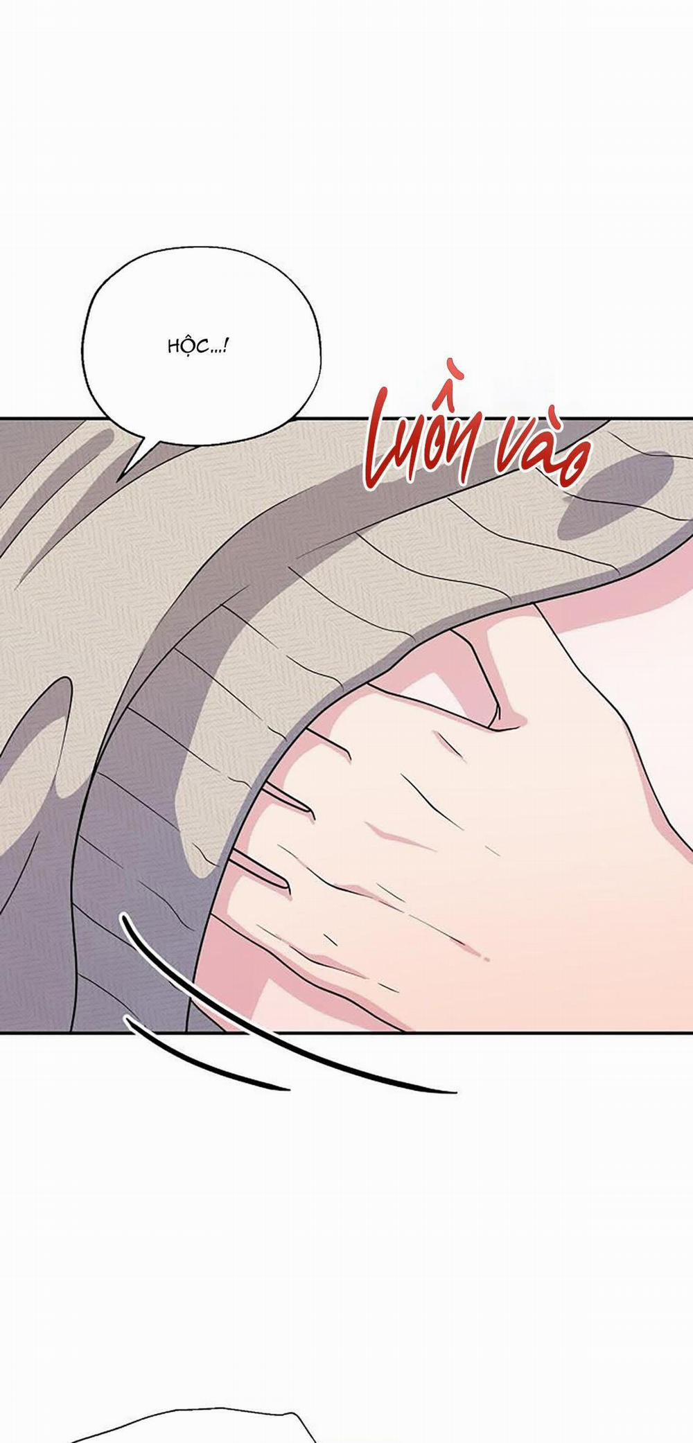 Phân Tán 8 trang 51