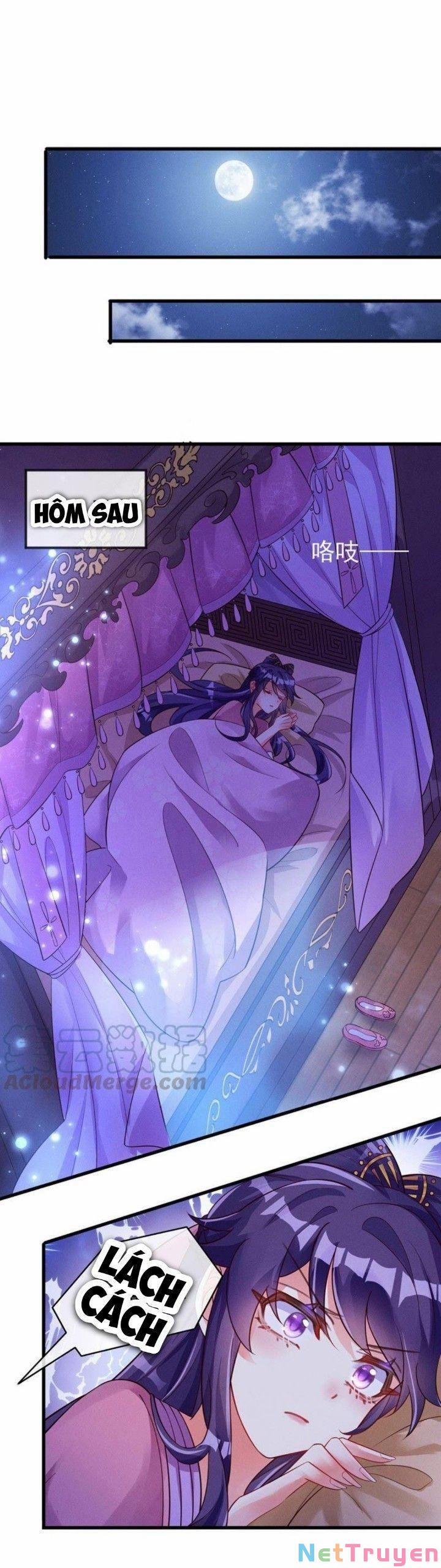 Phế Sài Tiểu Thư Muốn Nghịch Thiên Cải Mệnh 11 trang 11