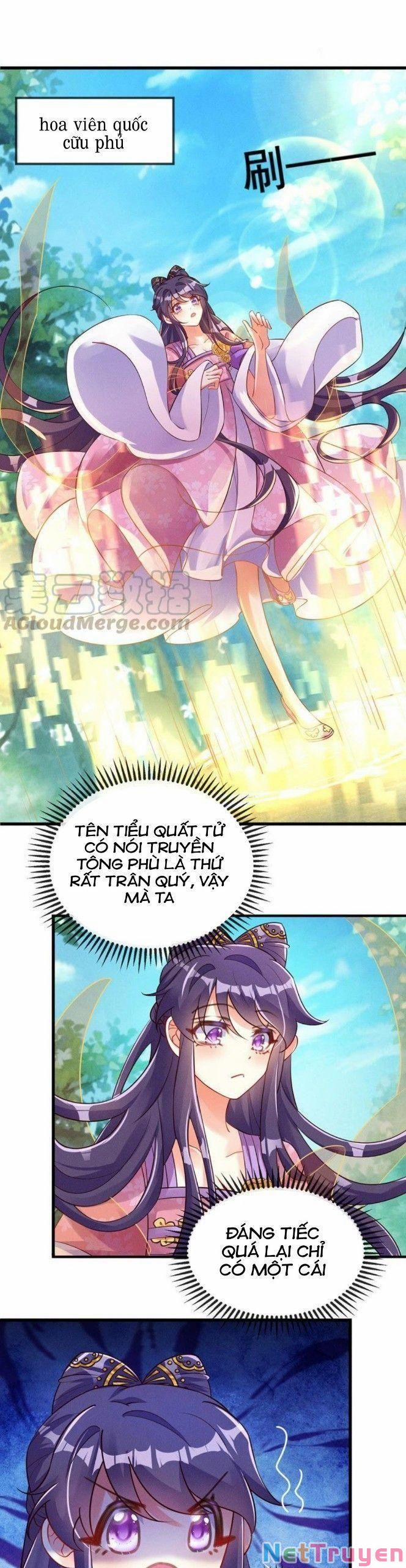Phế Sài Tiểu Thư Muốn Nghịch Thiên Cải Mệnh 14 trang 14