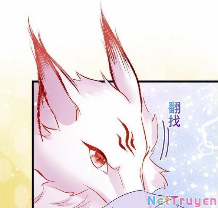 Phế Sài Tiểu Thư Muốn Nghịch Thiên Cải Mệnh 24 trang 13