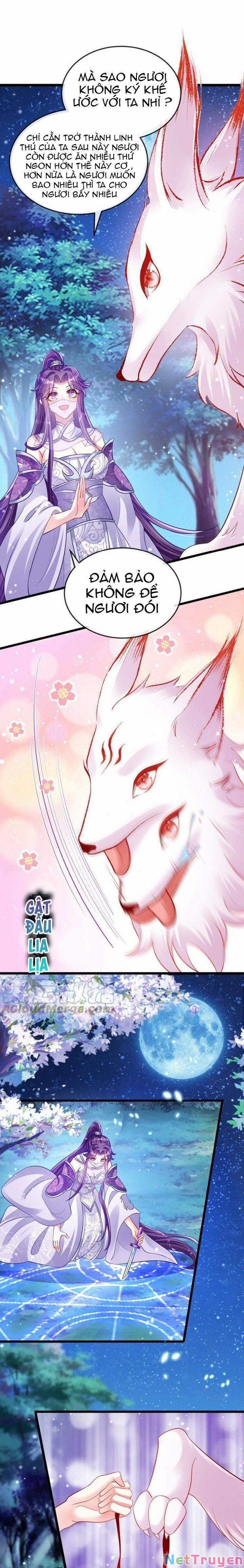 Phế Sài Tiểu Thư Muốn Nghịch Thiên Cải Mệnh 24 trang 19