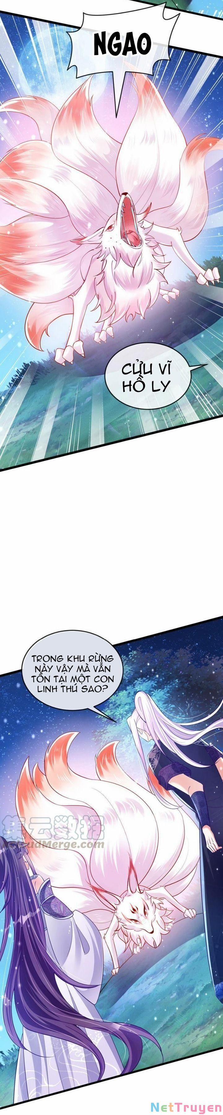 Phế Sài Tiểu Thư Muốn Nghịch Thiên Cải Mệnh 24 trang 6