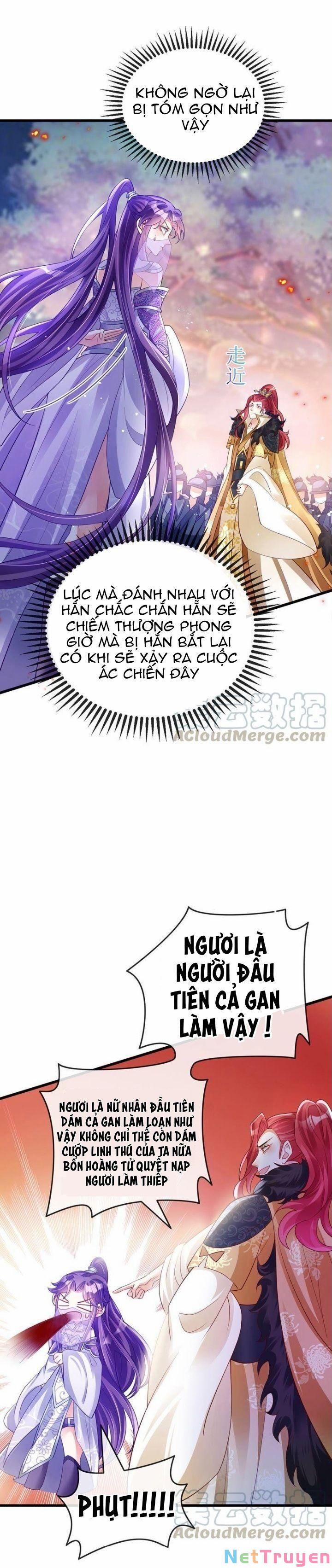 Phế Sài Tiểu Thư Muốn Nghịch Thiên Cải Mệnh 31 trang 1