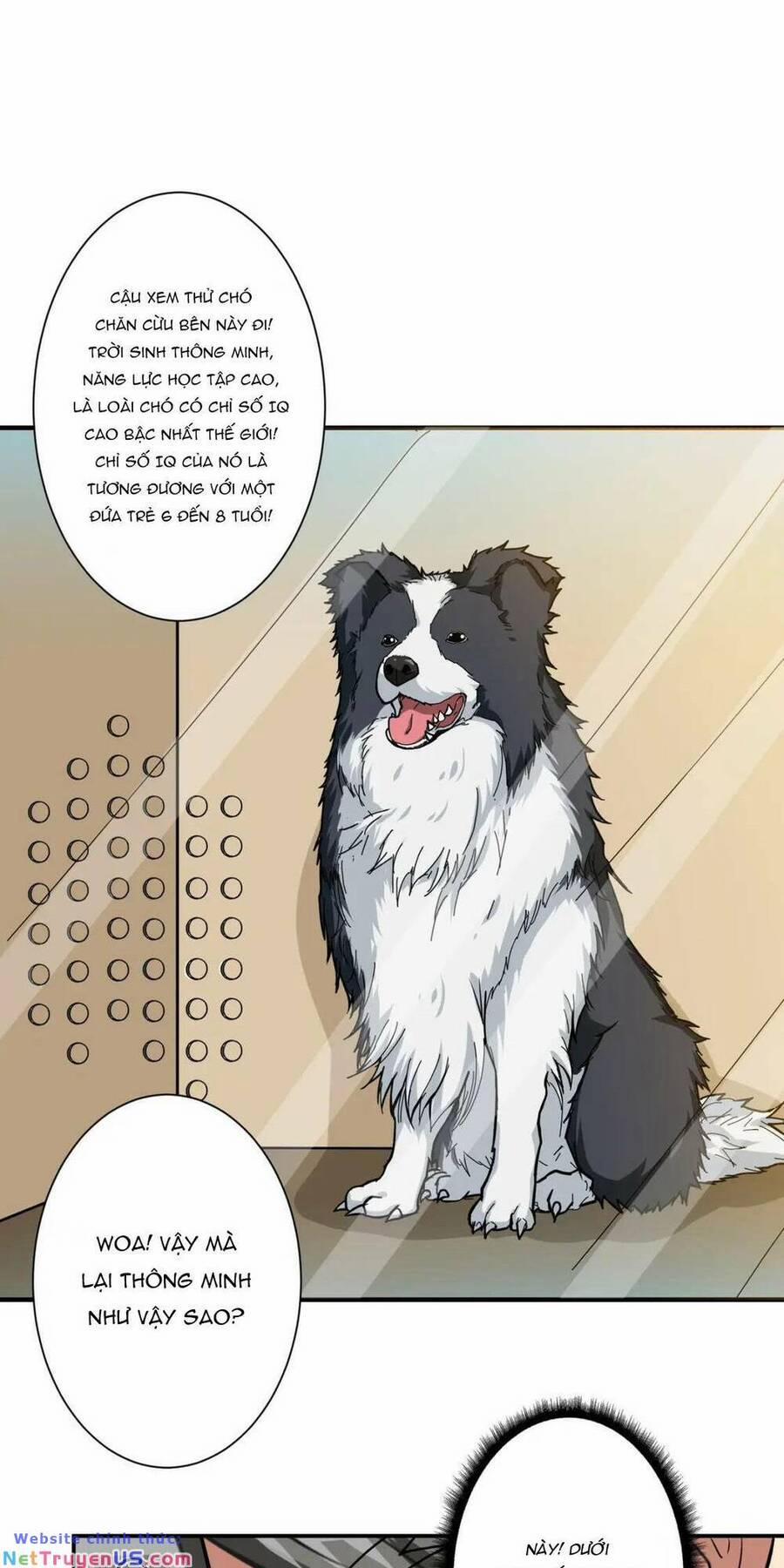 Phệ Thần Kỷ 66 trang 13