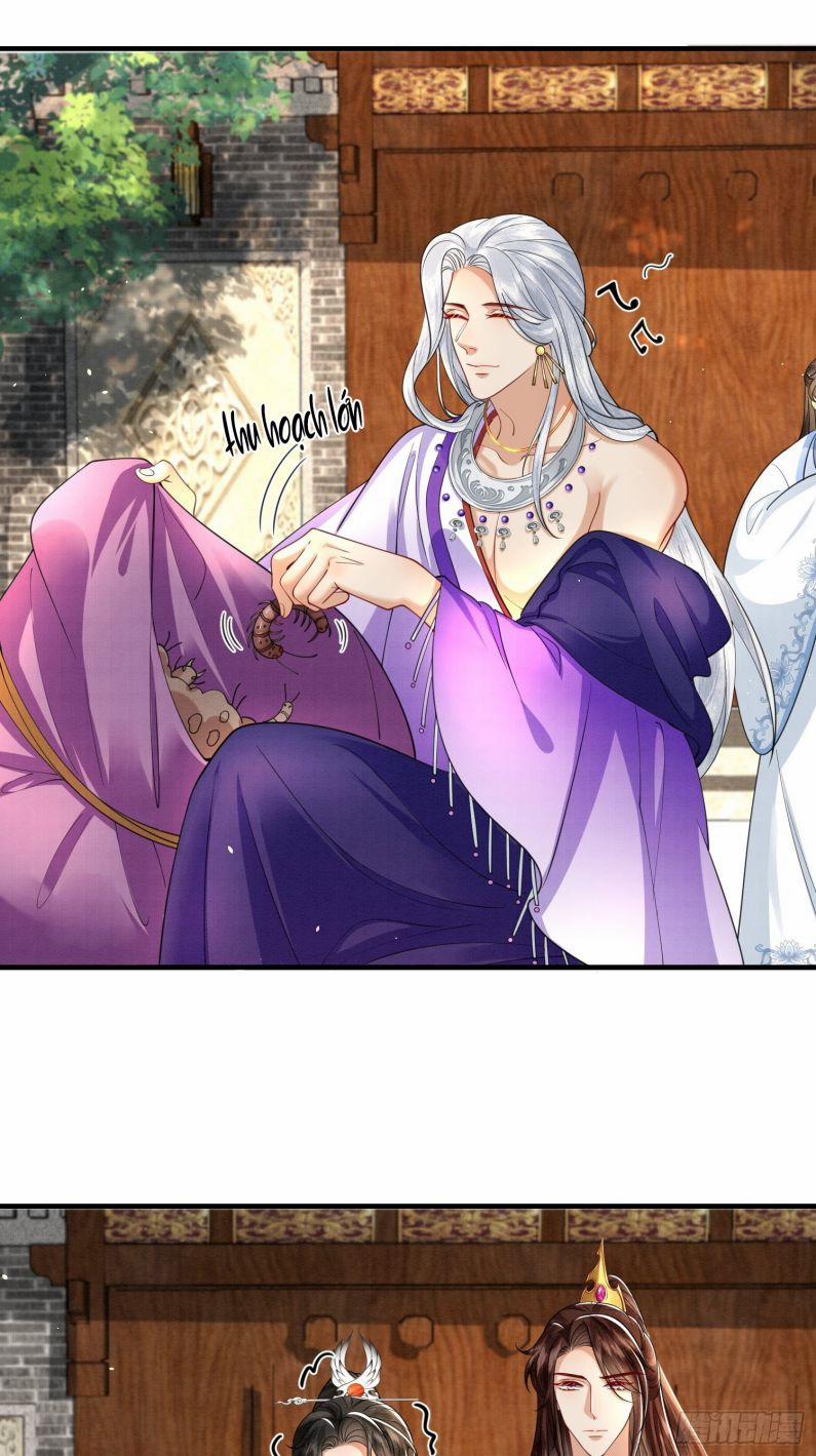 Phế Thê Trùng Sinh 14 trang 11