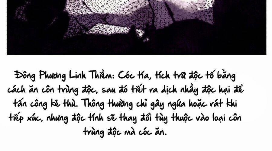 Phi Lôi Đao Thuật 190 trang 66