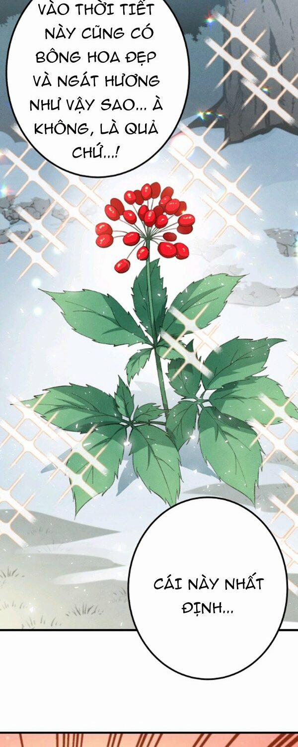 Phi Lôi Đạo 11 trang 12