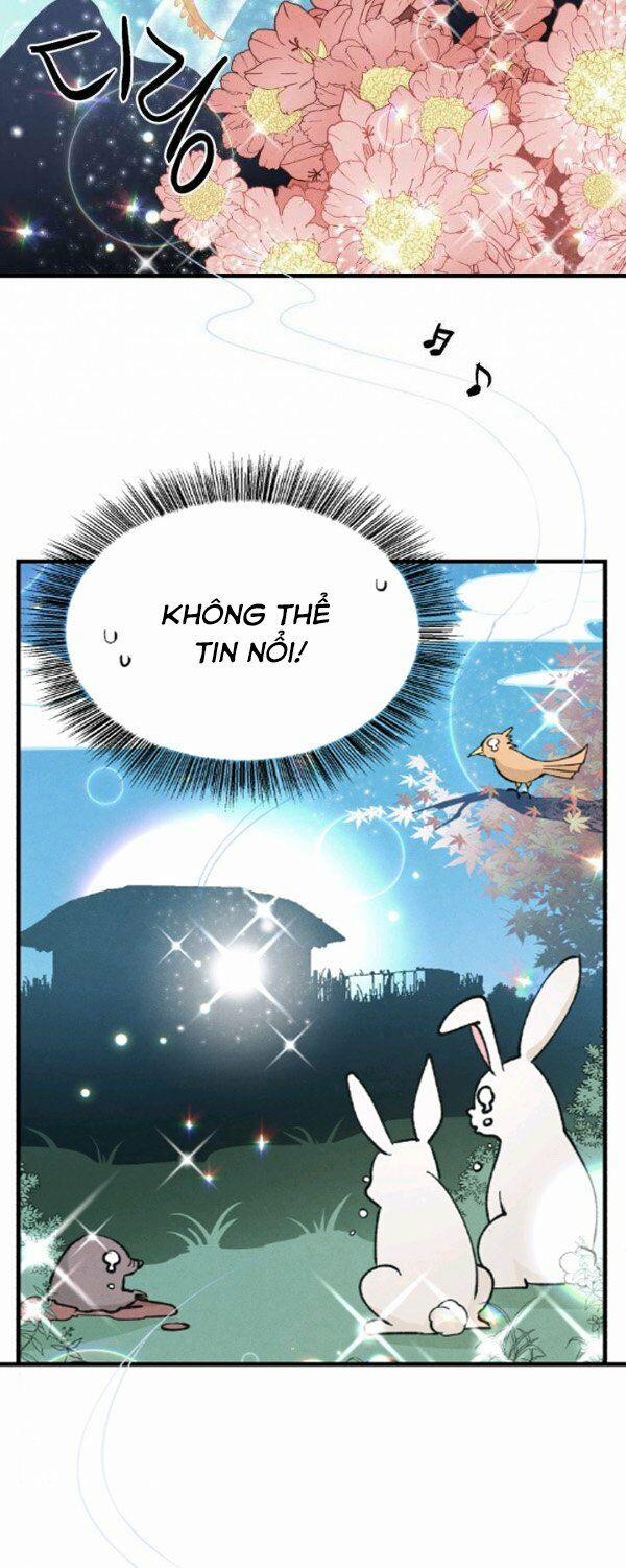 Phi Lôi Đạo 7 trang 37