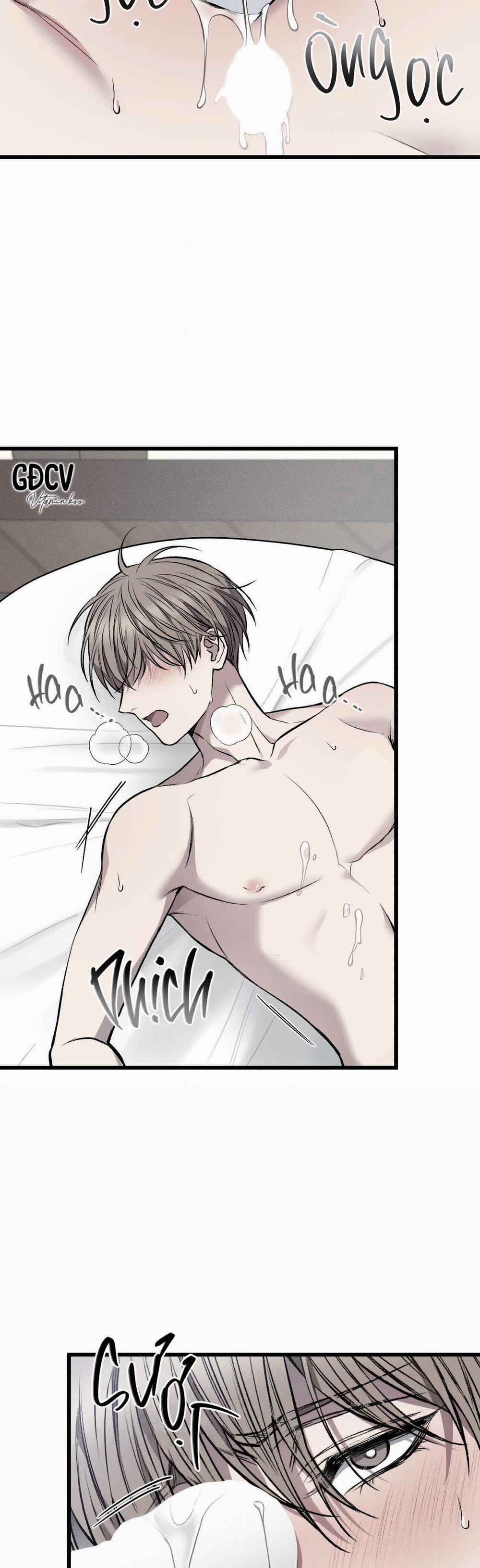 Phi Vụ Bẩn Thỉu 12 trang 13