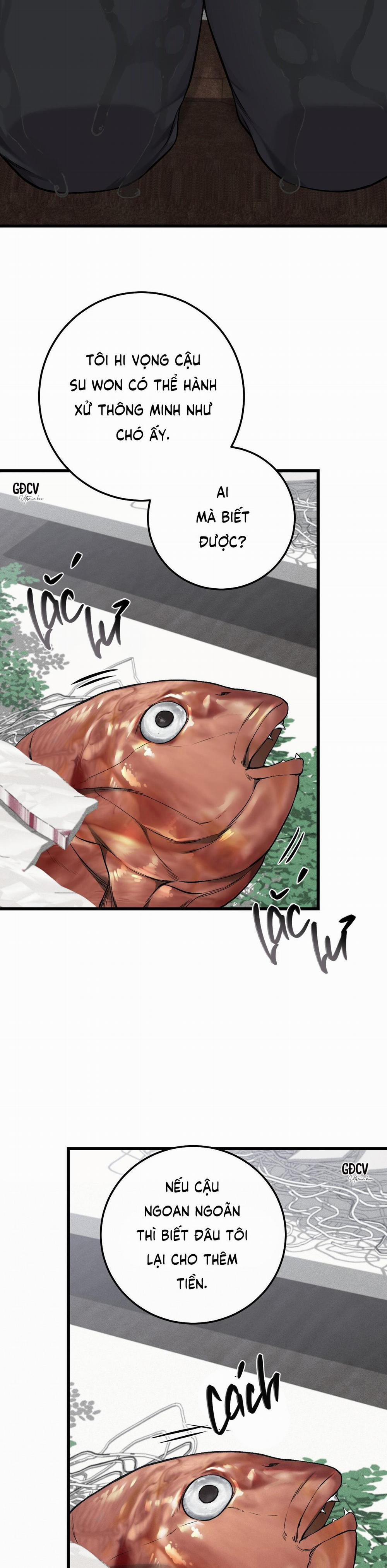 Phi Vụ Bẩn Thỉu 25 trang 24