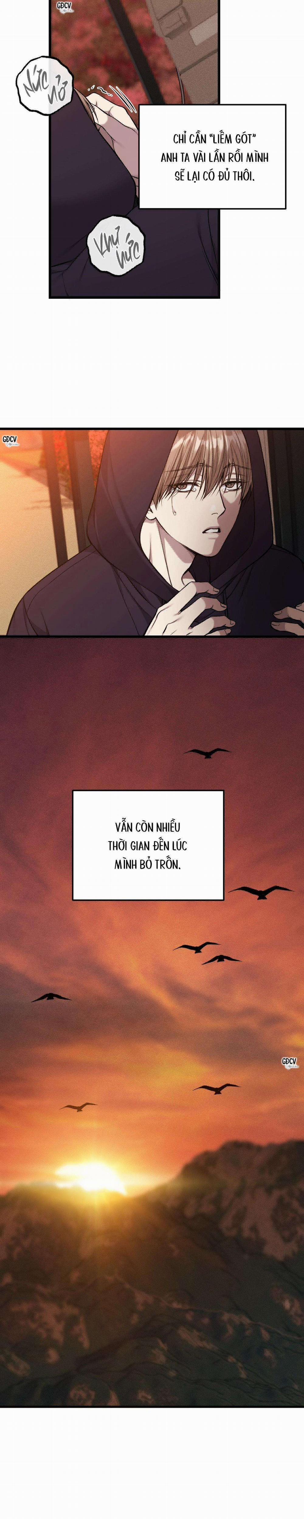 Phi Vụ Bẩn Thỉu 34 trang 11