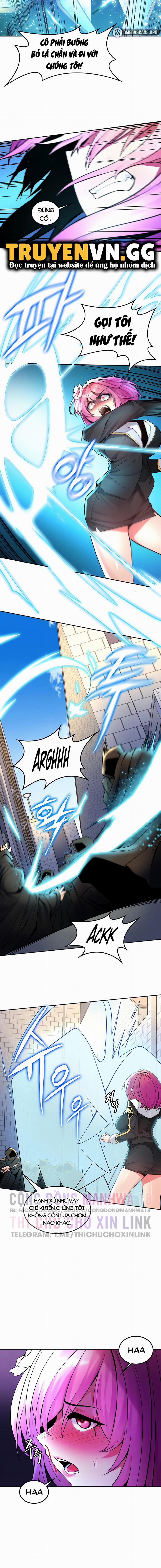 Phịch Cây Thế Giới 27 trang 4