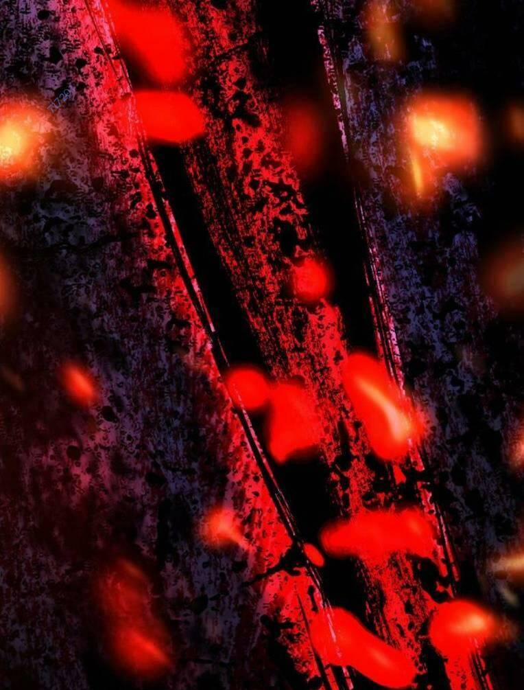 Phòng Gym Hanlim 132 trang 209