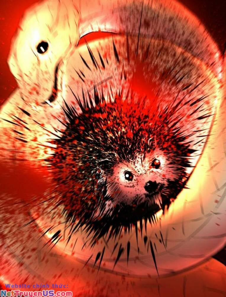 Phòng Gym Hanlim 146 trang 137