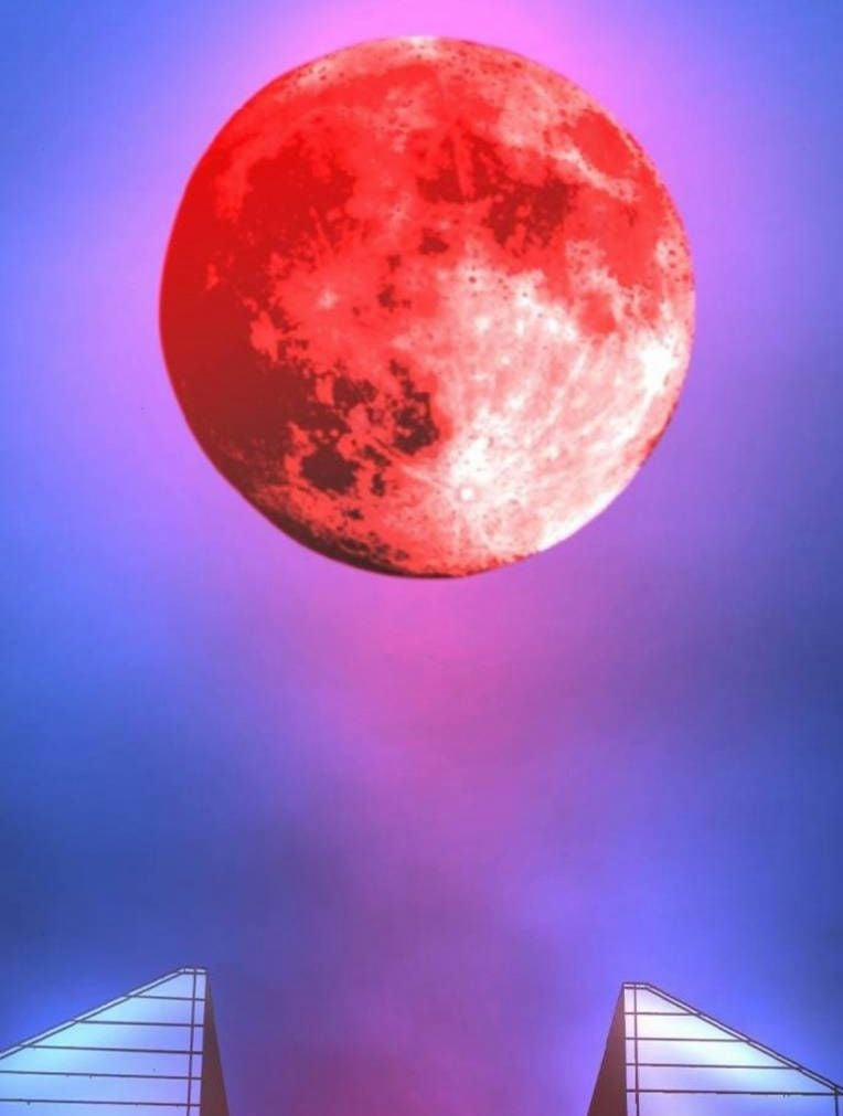 Phòng Gym Hanlim 192 trang 211