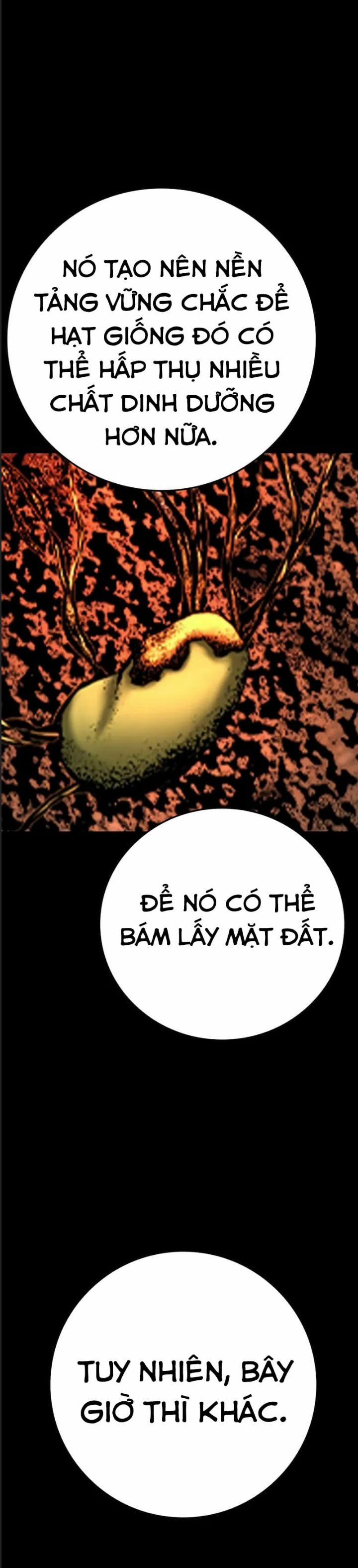 Phòng Gym Hanlim 204 trang 30