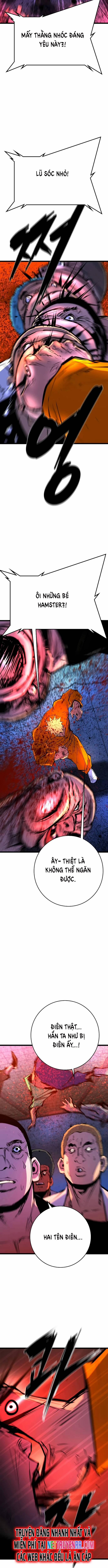 Phòng Gym Hanlim 207 trang 13