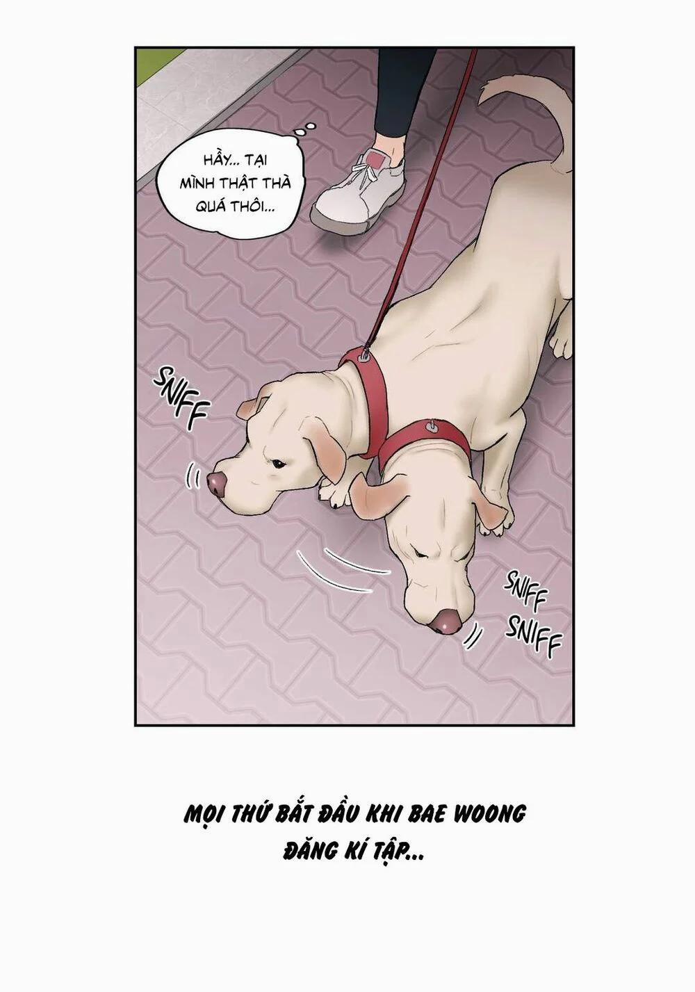 Phòng Tập Gym Bí Mật 14 trang 44