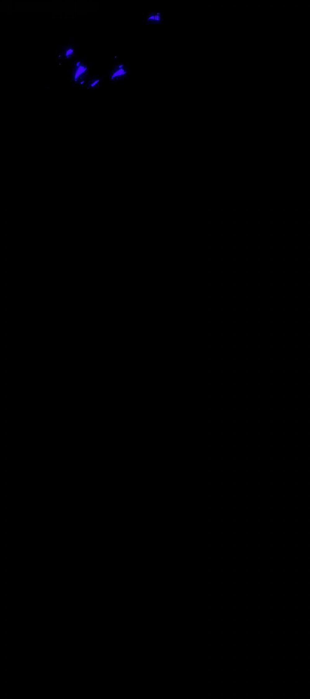 Phòng Thủ Hầm Ngục 18 trang 57