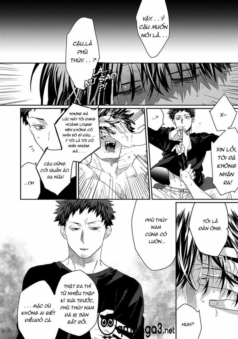 Phù Thủy Và Chú Mèo 2 trang 1