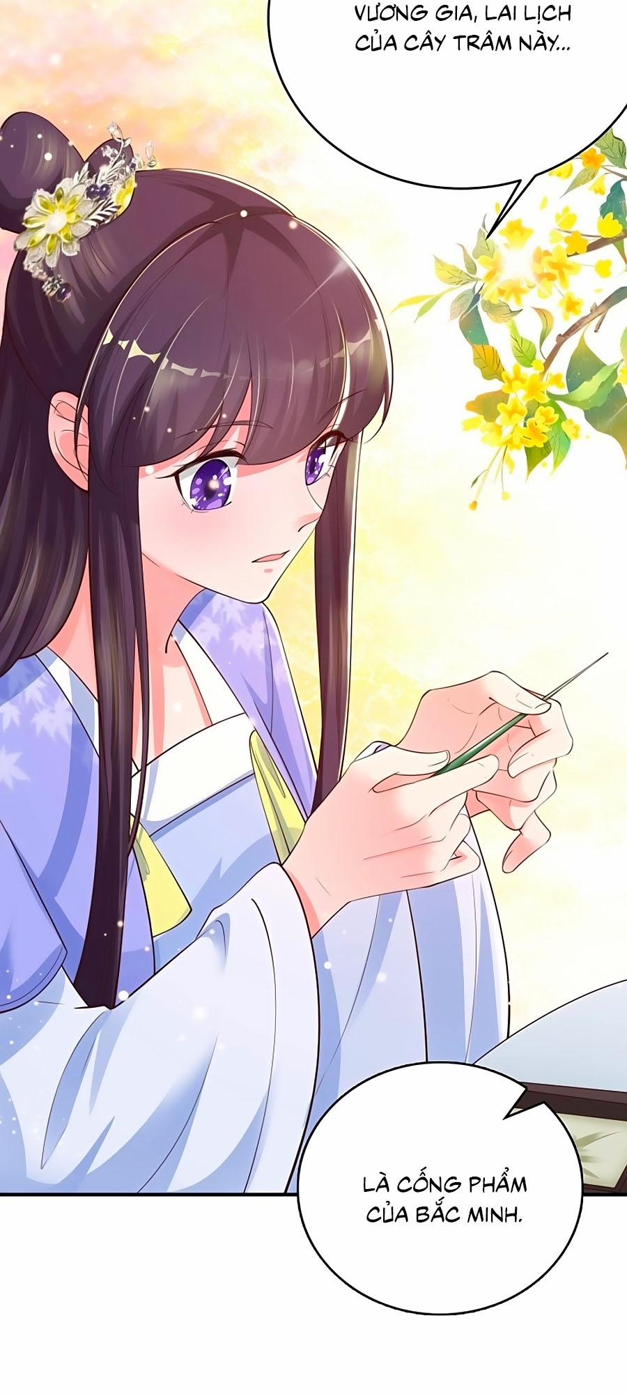 Phượng Ngự Tà Vương 39 trang 25