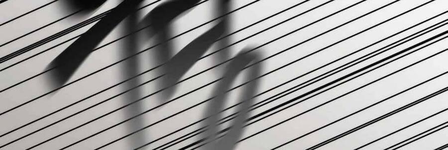 Phương Pháp Sinh Tồn Của Rồng Sắp Ngủm 39 trang 315