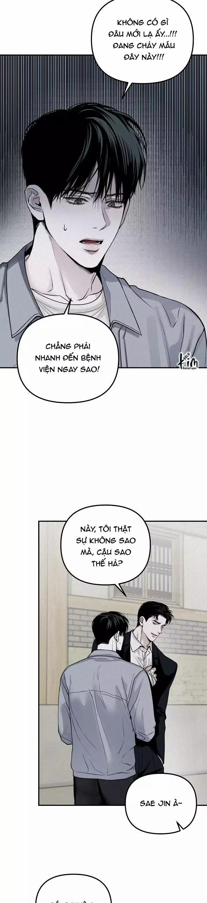 Projection 31 trang 17